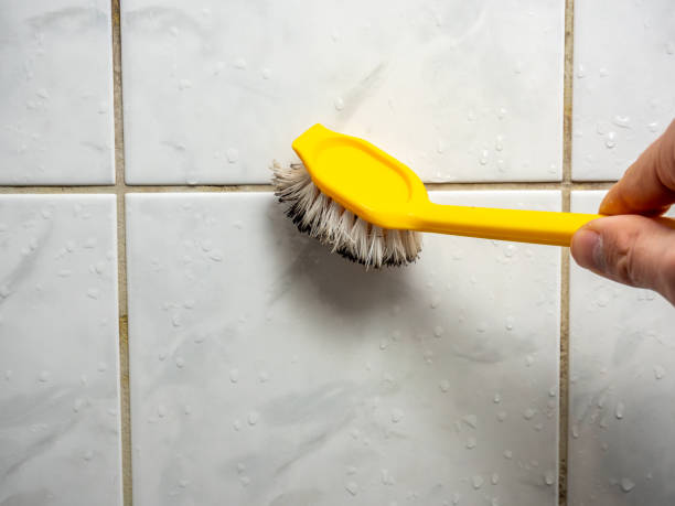 West Park, NJ Mold Removal Company