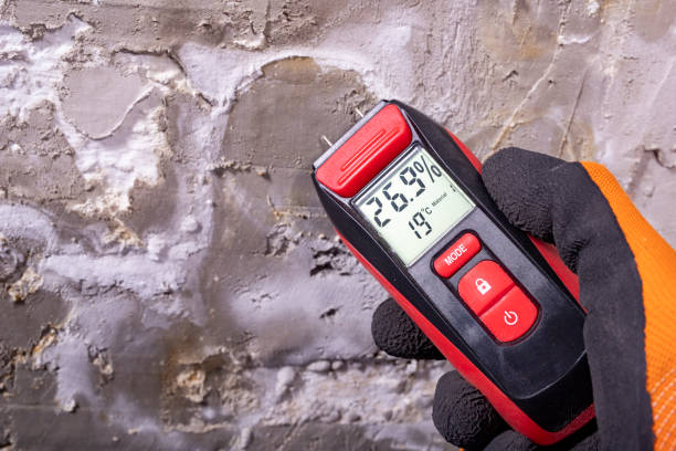Attic Mold Removal in West Park, NJ
