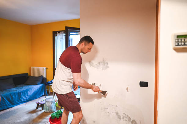  West Park, NJ Mold Removal Pros