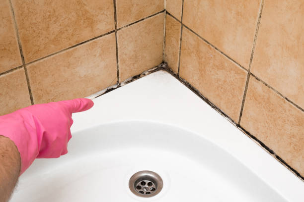 Best Mold Testing  in West Park, NJ